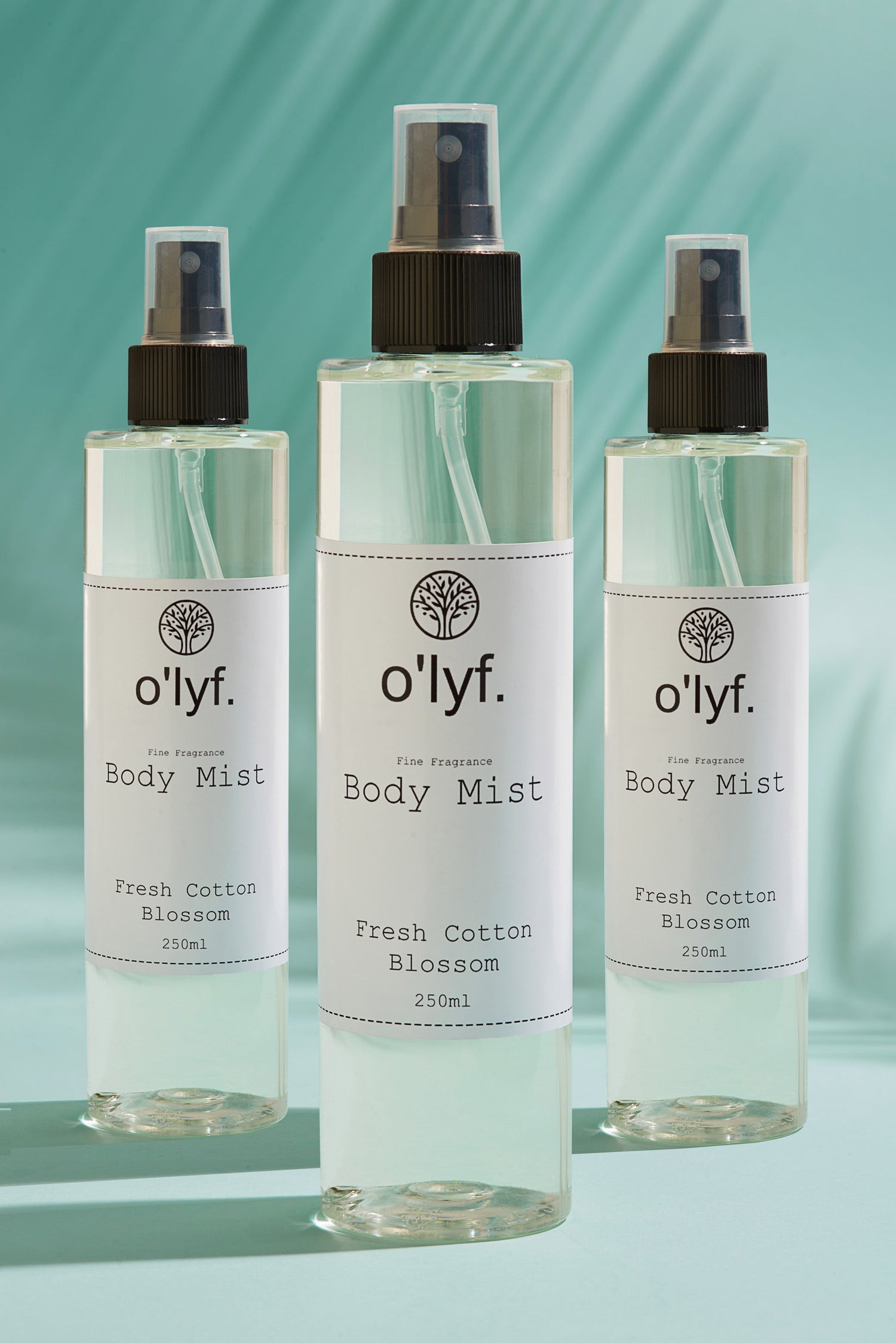 Body Mist